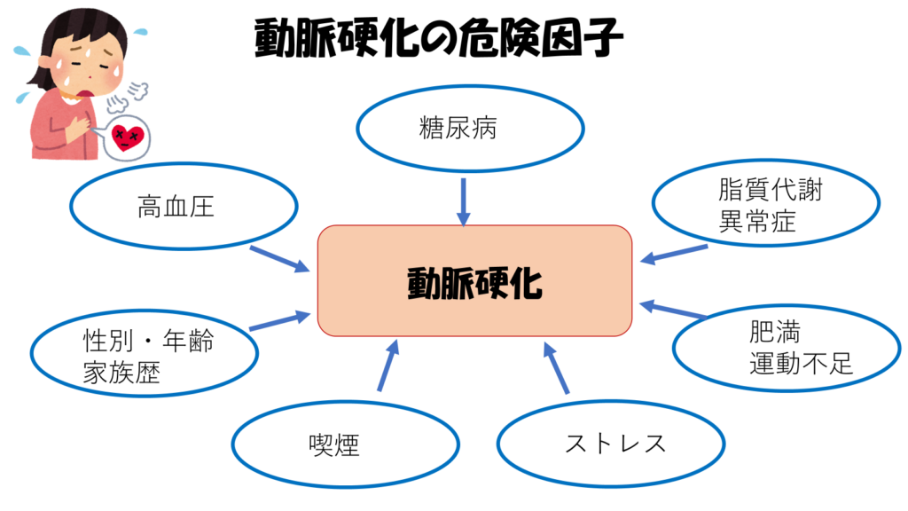 冠動脈危険因子　～肥満は万病のもと～