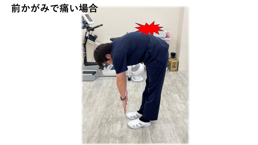 夏の運動不足を改善しましょう　　腰痛対策の筋トレ編