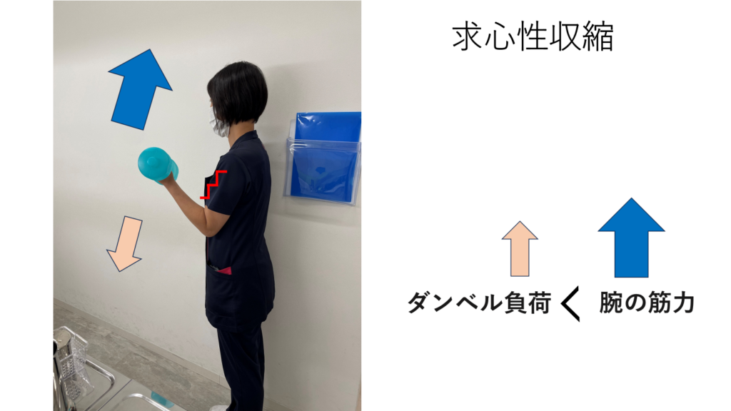 夏の運動不足を改善しましょう　筋の収縮様式編